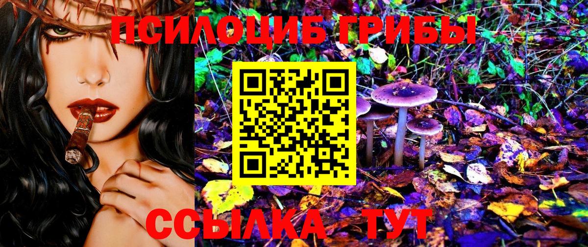Псилоцибиновые грибы прущие грибы  Вход с VPN  Галлюциногенные грибы MAGIC MUSHROOMS  Вязники 